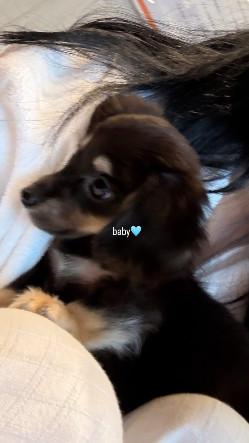 260429 تحديث قصة الانستغرام الساطعة