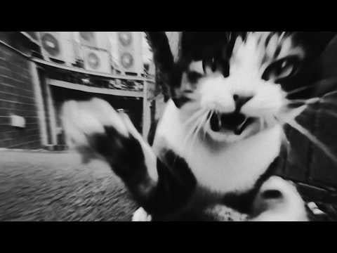 BOYNEXTDOOR - 똑똑똑 (Knock Knock)