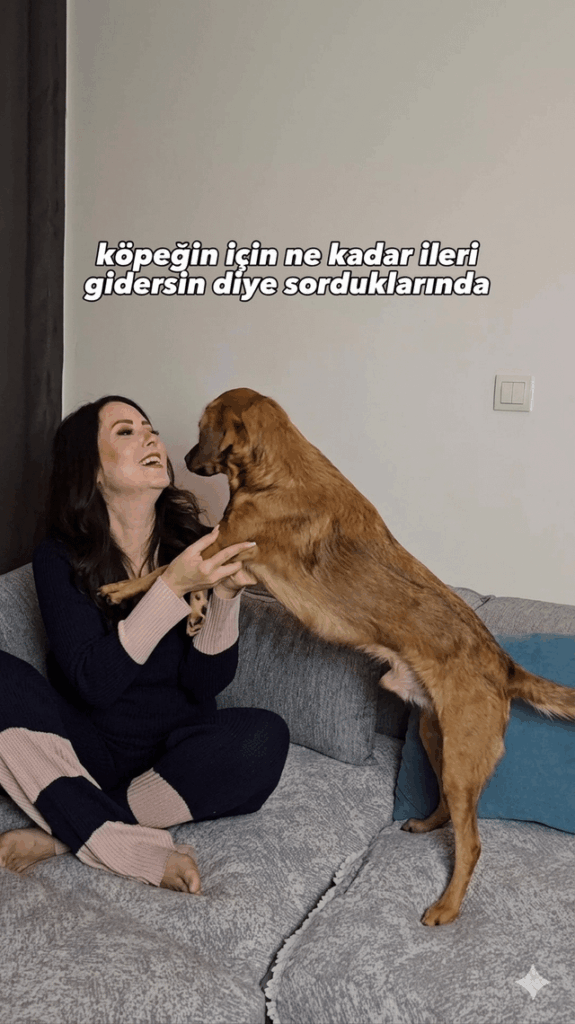 Işıl ışık