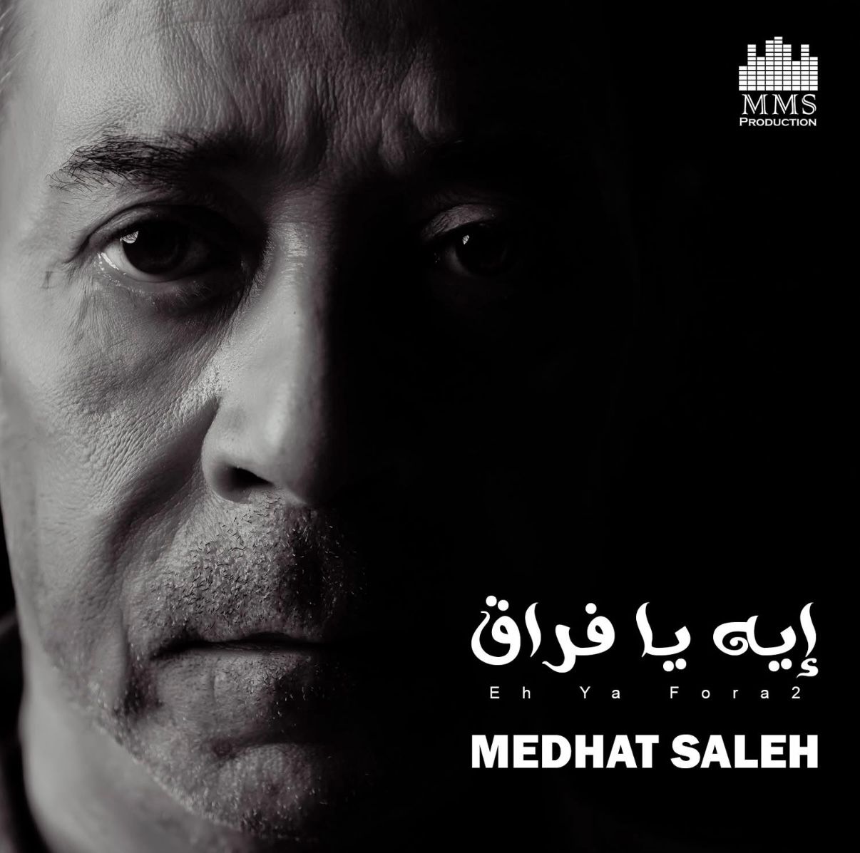 مدحت صالح