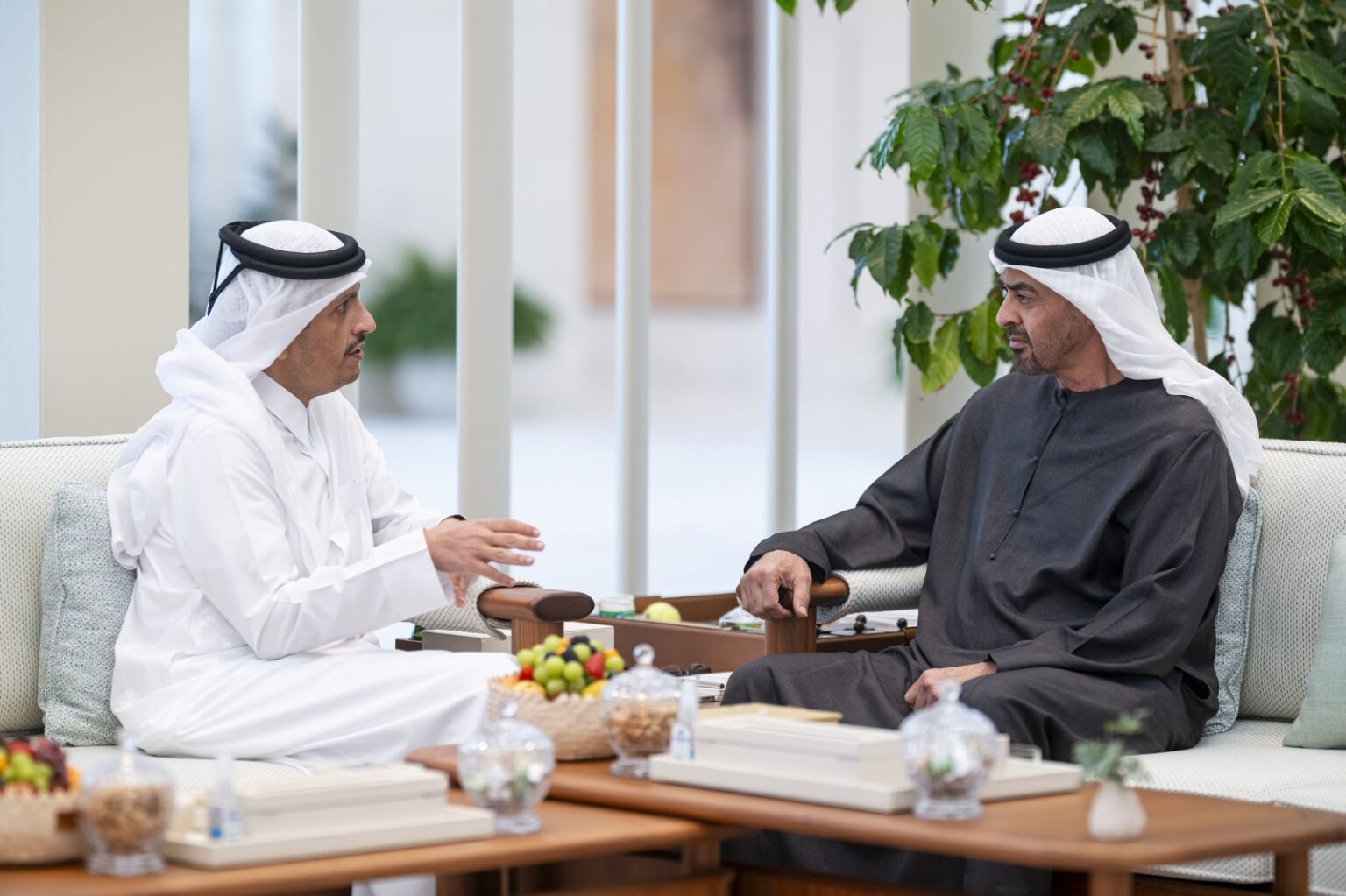 رئيس الدولة يستقبل رئيس مجلس الوزراء وزير خارجية قطر
