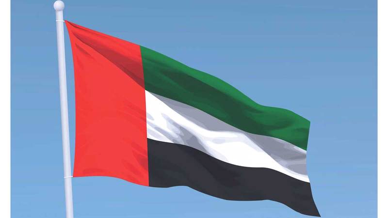 الإمارات تُدين الاعتداء الإرهابي على سفينة شحن كورية في «هرمز»