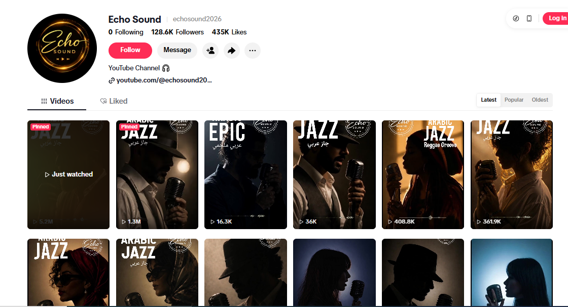 لقطة لحساب EchoSound في تيك توك 