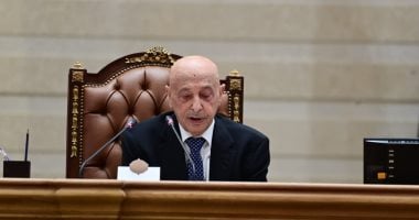 نص كلمة المستشار عقيلة صالح رئيس مجلس النواب الليبى عن مصر: الشقيقة الكبرى نص كلمة المستشار عقيلة صالح رئيس مجلس النواب الليبى عن مصر: الشقيقة الكبرى