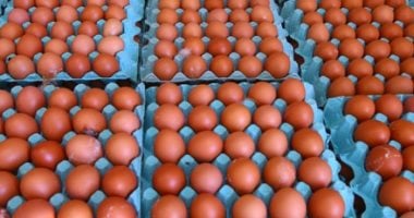 طرح كميات كبيرة من البيض والدواجن بالأسواق.. صور طرح كميات كبيرة من البيض والدواجن بالأسواق.. صور
