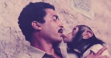 بعد 39 عاما.. كيف تعامل أحمد زكي مع الحيوانات فى فيلم أربعة فى مهمة رسمية؟ بعد 39 عاما.. كيف تعامل أحمد زكي مع الحيوانات فى فيلم أربعة فى مهمة رسمية؟