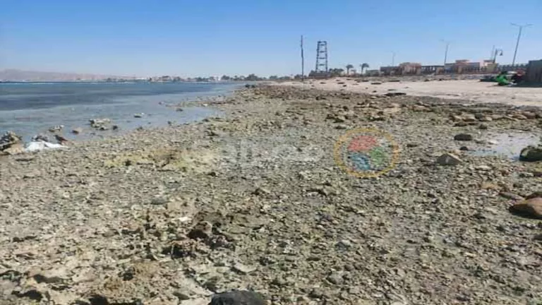 لمسافة تتخطى 30 متراً.. شاهد ظاهرة انحسار المياه بشاطئ الجبيل في طور س