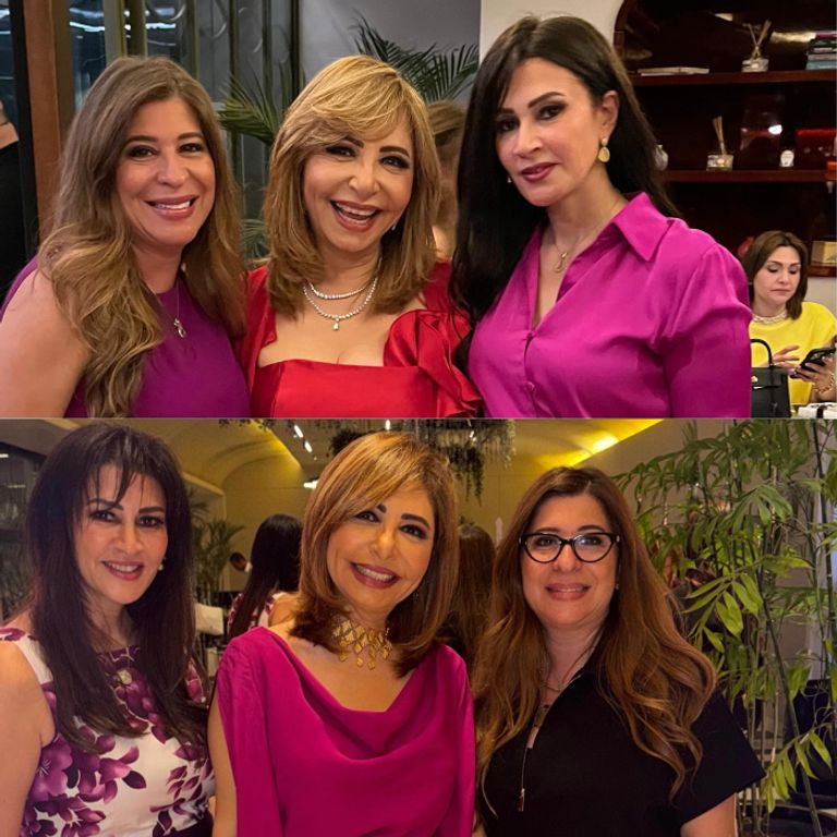 ظهور دينا طلعت في عيد ميلاد لميس الحديدي