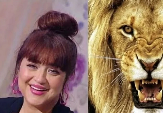 أسد يهاجم الإعلامية مروة عبدالمنعم أثناء التصوير.. ماذا حدث؟ - أخبار السعودية
