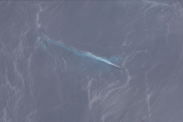 ****داخلية**** Destroyer-2026-05-20-Sentinel-2_L1C_True_Color المصدر: Sentinel