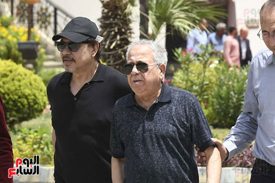 محمد محمود