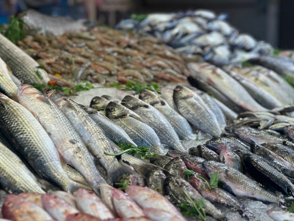 البلطي