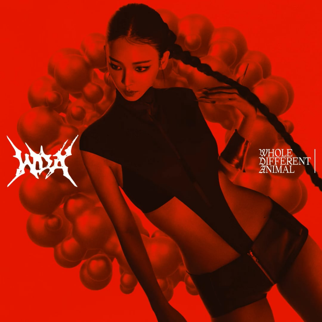 260524 كارينا | "𝐍 𝐄 𝐖 𝐓 𝐘 𝐏 𝐄" (رسوم متحركة)