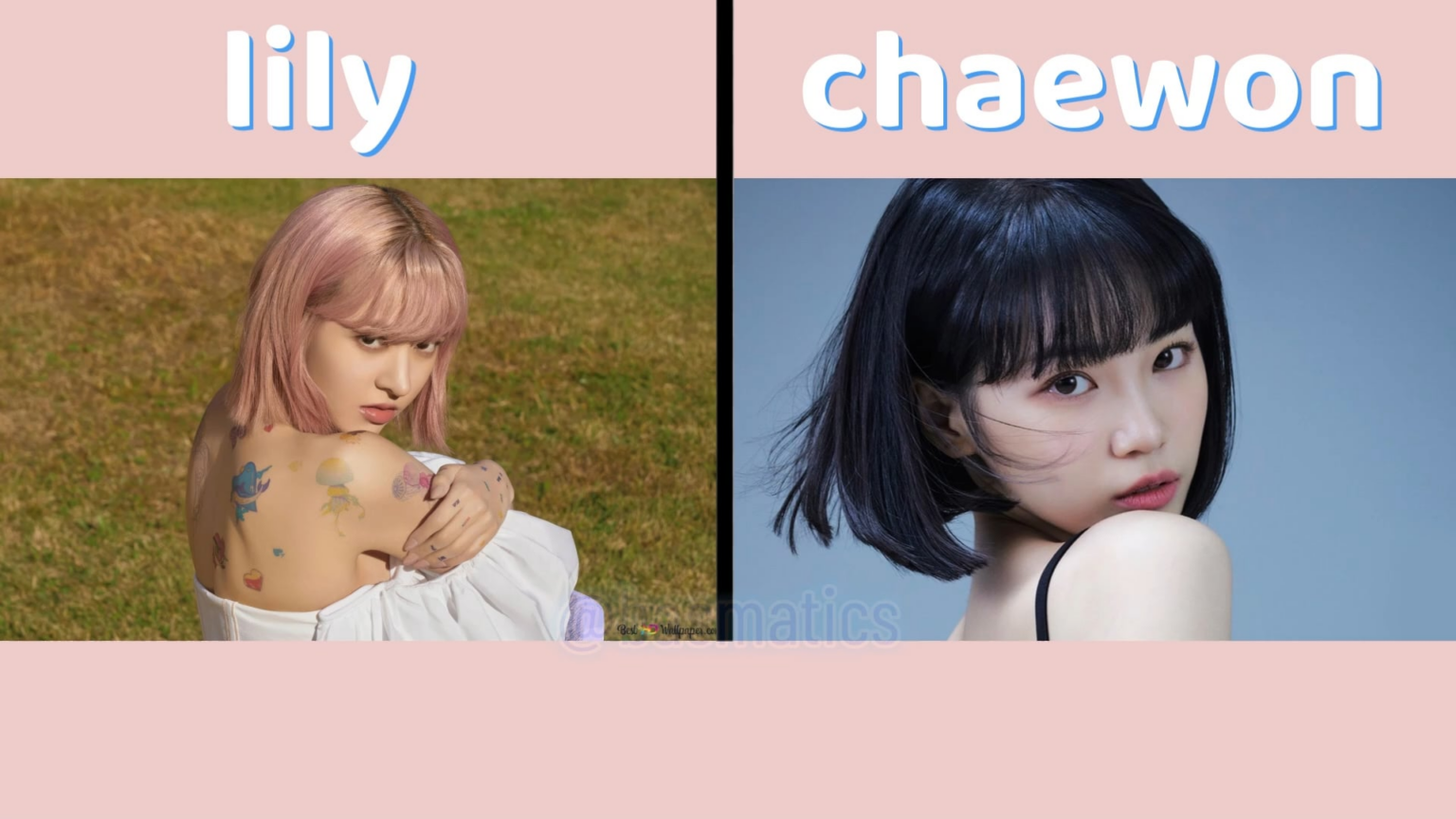 تعاون المعجبين LE SSERAFIM Chaewon X NMIXX Lily تقع في الحب