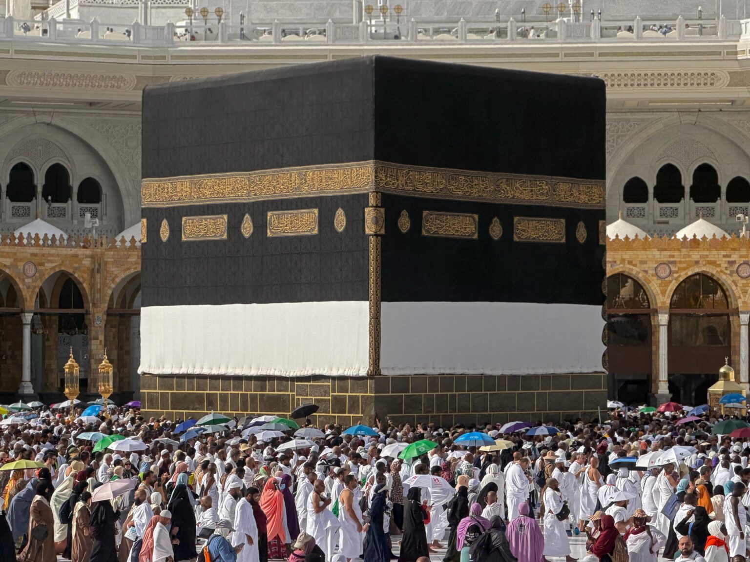 عدد الحجاج يتجاوز الموسم الماضي والمناسك تبدأ الاثنين | أخبار عدد الحجاج يتجاوز الموسم الماضي والمناسك تبدأ الاثنين | أخبار