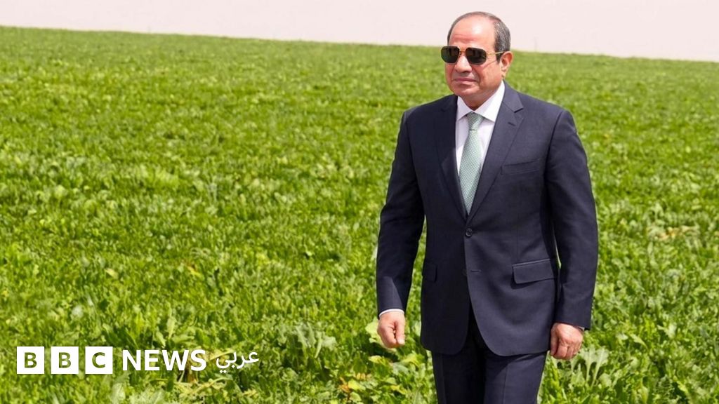 مشروع الدلتا الجديدة في مصر: لماذا قد لا يحقق الاكتفاء الذاتي الزراعي؟ مشروع الدلتا الجديدة في مصر: لماذا قد لا يحقق الاكتفاء الذاتي الزراعي؟