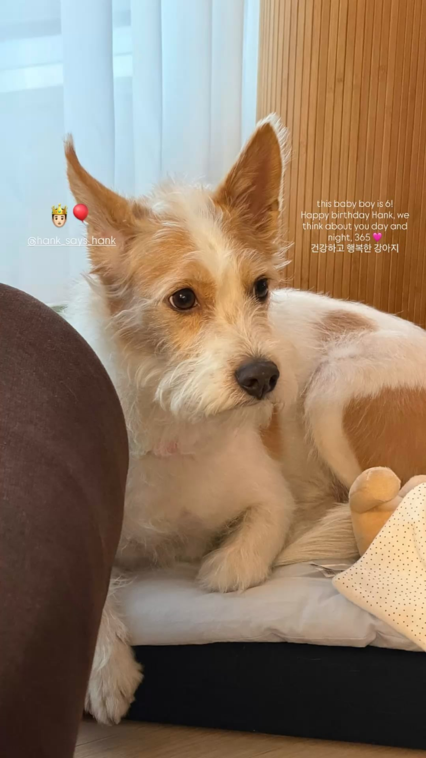 260505 تحديث قصة Alice IG مع هانك
