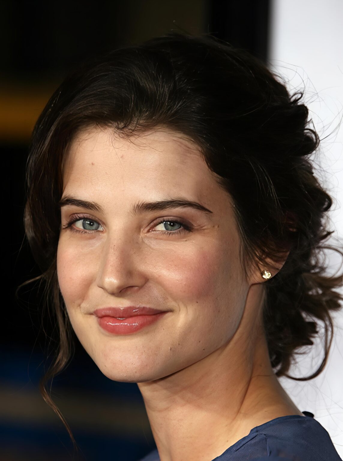 Cobie Smulders