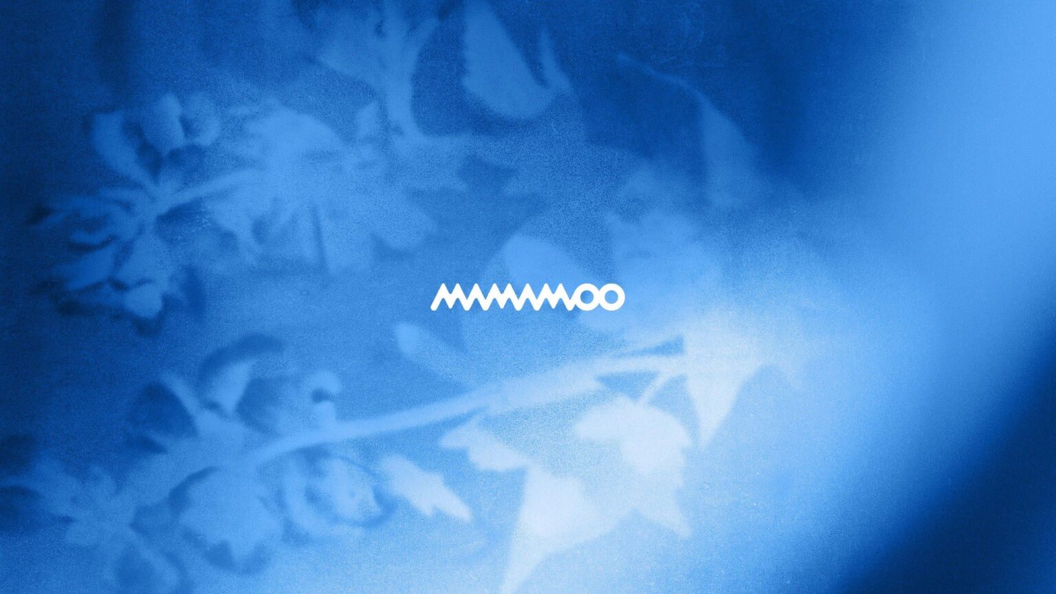 قامت فرقة MAMAMOO بفتح حساب رسمي لفرقة BStage