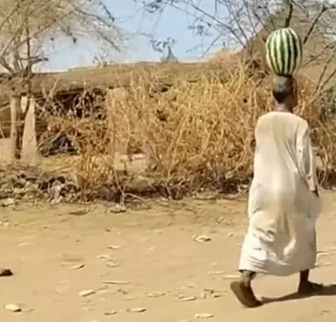 سوداني 1