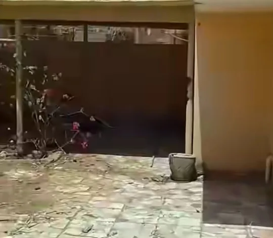 منزل