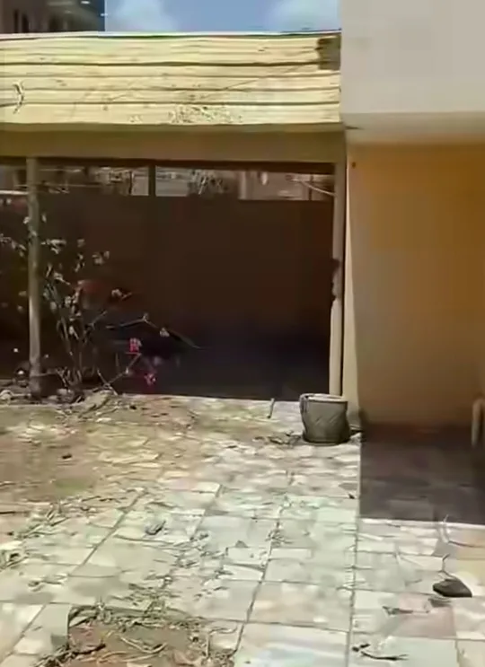 بالدموع.. مطرب سوداني يوثق عودته إلى منزله في الخرطوم بعد الحرب