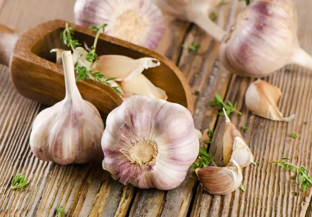 ماذا يحدث لجسمك عند تناول فص ثوم يومياً؟ ماذا يحدث لجسمك عند تناول فص ثوم يومياً؟