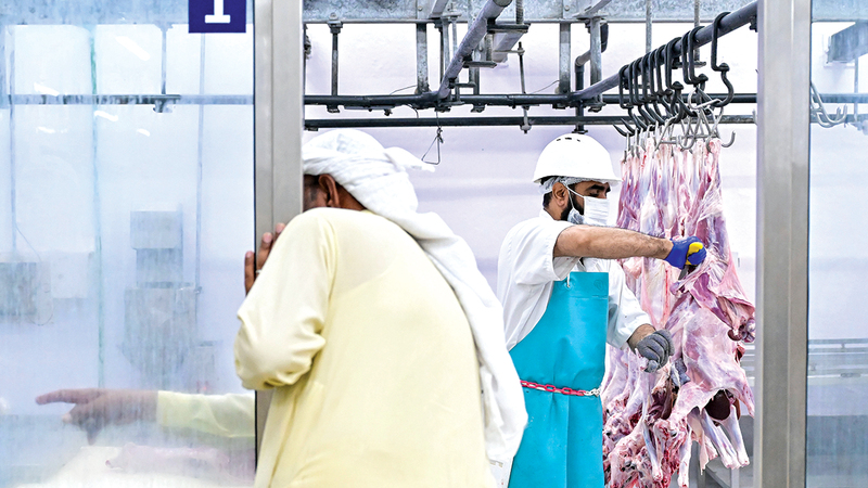 18.4 ألف أضحية استقبلتها مقاصب دبي خلال العيد المقاصب شهدت انسيابية كبيرة في حركة العمل رغم كثافة الإقبال. من المصدر