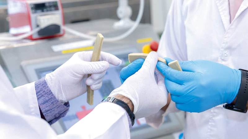 جامعة الإمارات تطور بدائل نباتية للحوم بالذكاء الاصطناعي