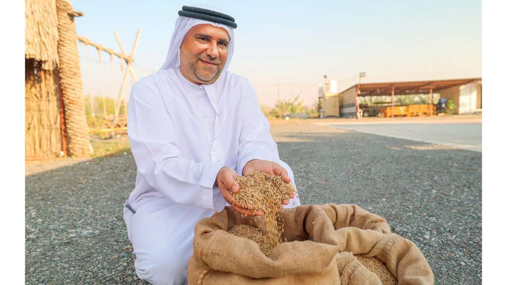 مواطن ينجح في زراعة الأرز بأرض الإمارات الطيبة.. ويحصد البسمتي والعنبر مواطن ينجح في زراعة الأرز بأرض الإمارات الطيبة.. ويحصد البسمتي والعنبر