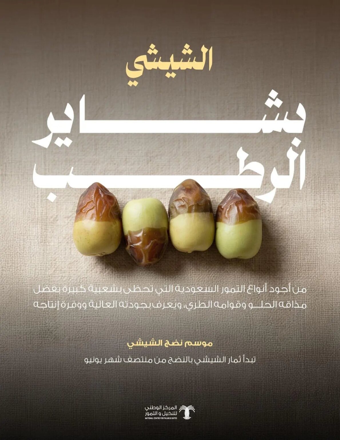 رطب الشيشي يحقق إقبالاً واسعاً مع انطلاق موسم بشاير الرطب