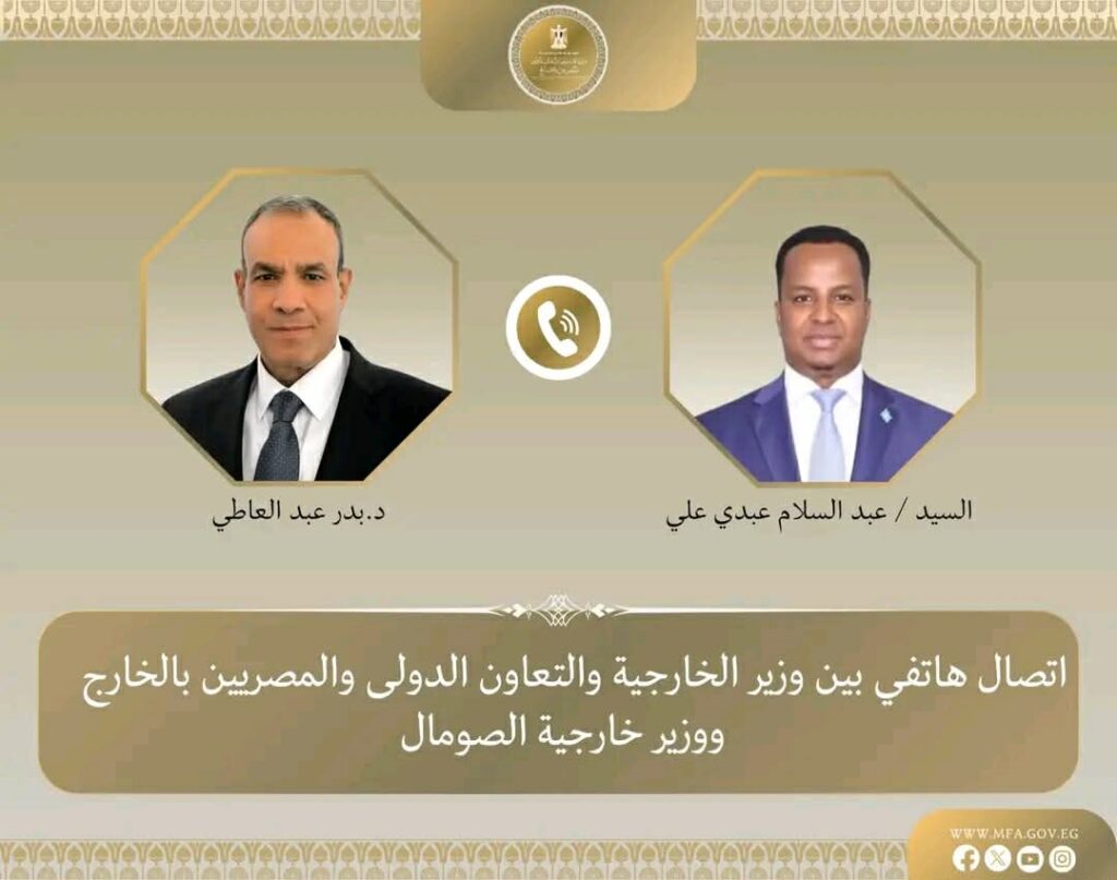 وزيرا خارجية مصر والصومال يبحثان تطورات الأوضاع بالصومال
