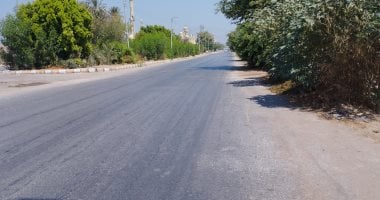 الطقس غدا.. أجواء حارة وارتفاع الرطوبة وشبورة صباحا والعظمى بالقاهرة 35 درجة