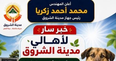 رئيس جهاز مدينة الشروق يعلن تخصيص أرض لأول شلتر لإيواء الكلاب الضالة
