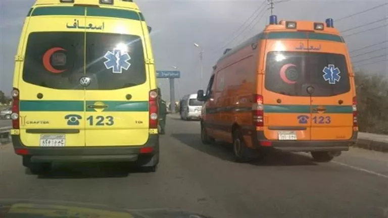 إصابة 16 عاملًا إثر انقلاب سيارة ربع نقل في كفر الشيخ إصابة 16 عاملًا إثر انقلاب سيارة ربع نقل في كفر الشيخ