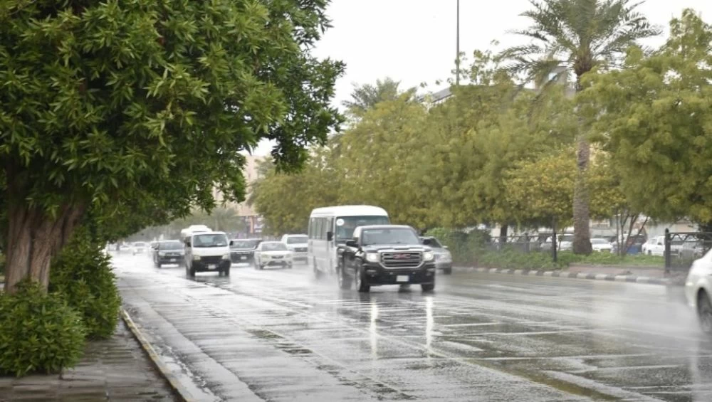 أمطار رعدية على 4 مناطق.. ورياح مثيرة للغبار تضرب 9 مناطق - أخبار السعودية