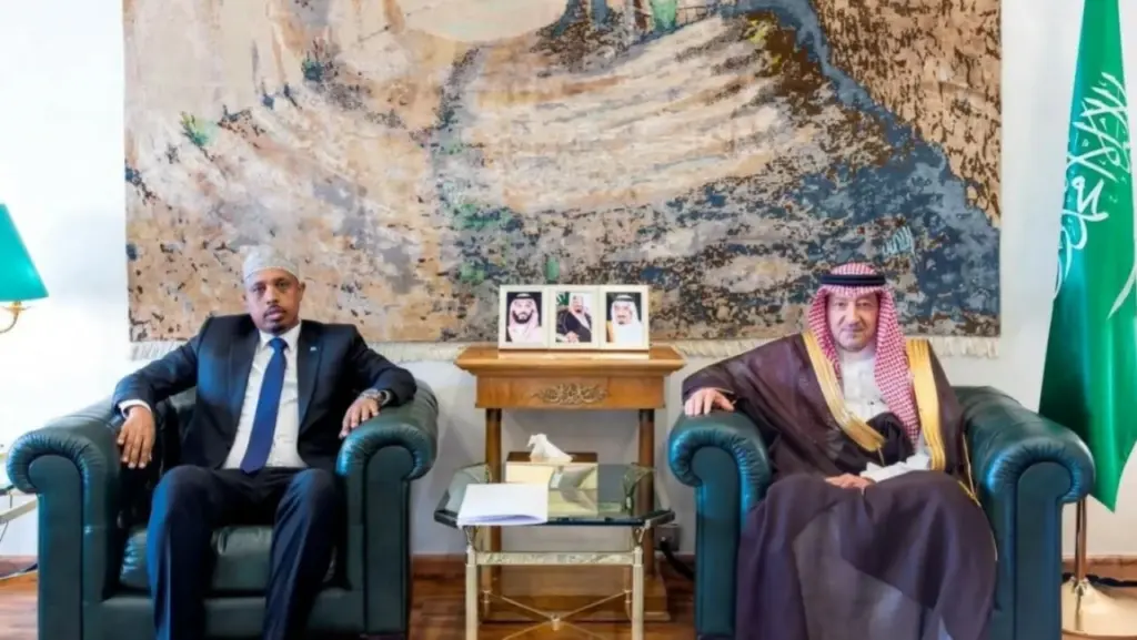 نائب وزير الخارجية يستقبل سفير الصومال لدى السعودية – أخبار السعودية نائب وزير الخارجية يستقبل سفير الصومال لدى السعودية - أخبار السعودية