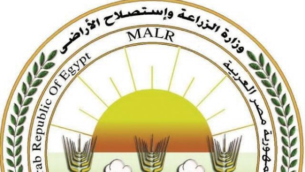 البيض هيكون مُعلَّب لضبط الأسعار.. الزراعة: التصنيع الزراعي درع الأمن الغذائي.. وخطة لاستقرار الأسعار وتحقيق القيمة المضافة