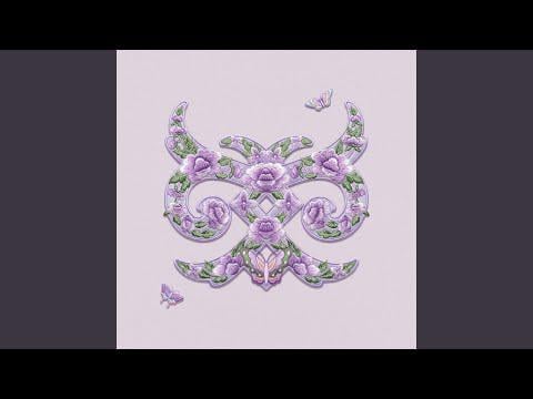 دودري - ليلك