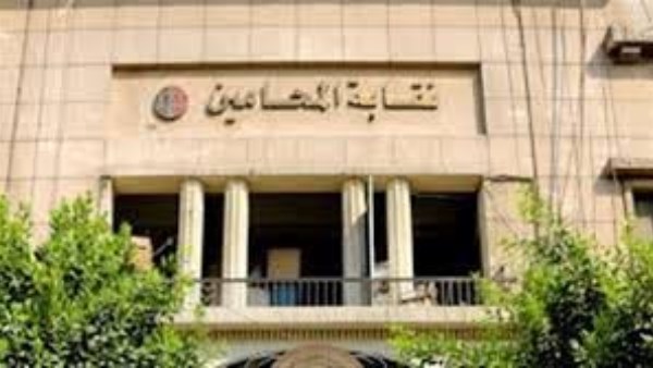 "المحامين" تحيل نسمة الخطيب للتحقيق بسبب مطالبتها بتقنين الدعارة في مصر
