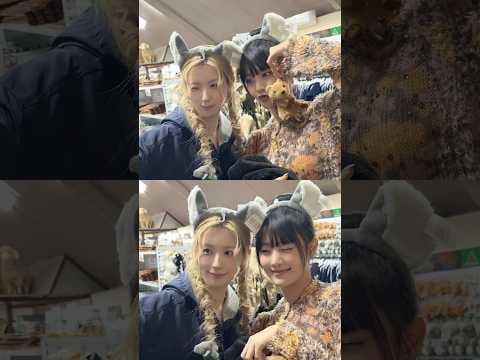 260603 في نزهة حديقة الحيوان ☀️🐨