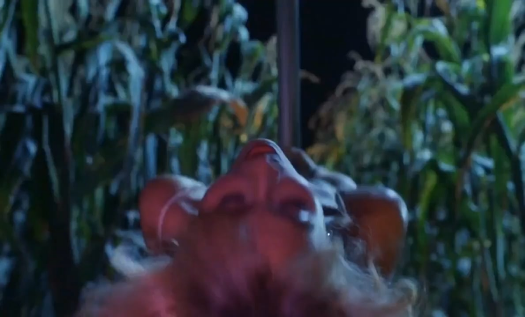 Sabrina Carpenter