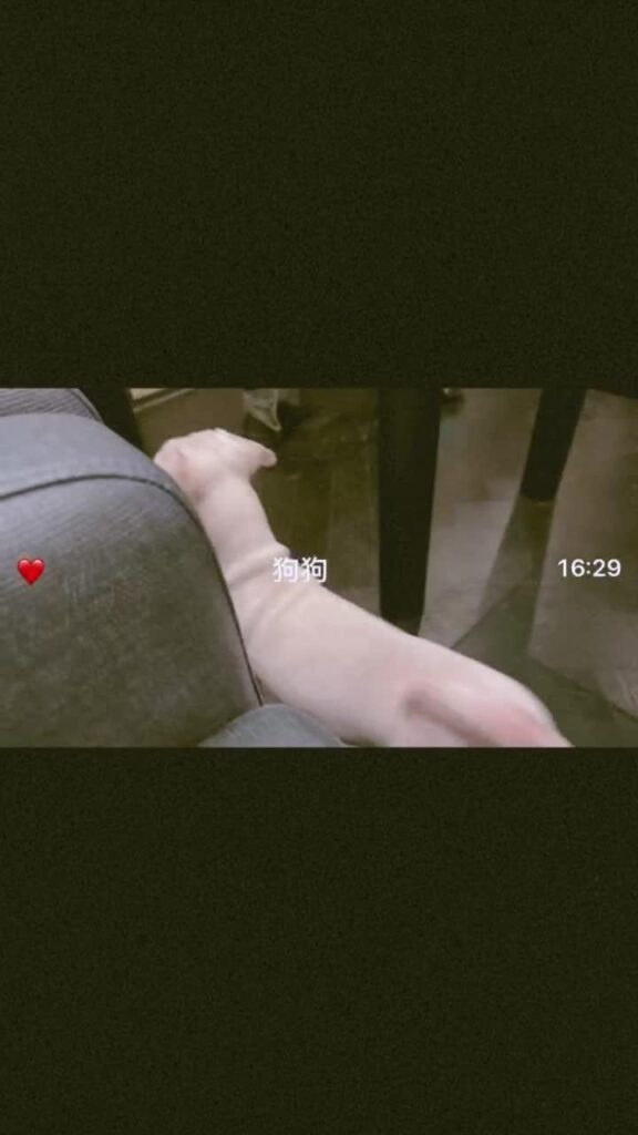 260611 قصة يوكي على الانستغرام