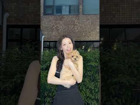 260605 دايجوبوديشو 🐶