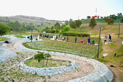 السماح بـ12 نشاطاً تجارياً داخل الحدائق العامة – أخبار 24 السماح بـ12 نشاطاً تجارياً داخل الحدائق العامة - أخبار 24