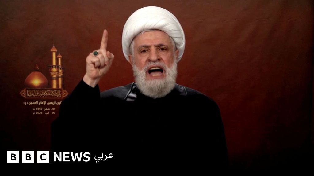 حزب الله يرفض اتفاق وقف إطلاق النار بين إسرائيل ولبنان ويصفه بأنه "استسلام وهزيمة"