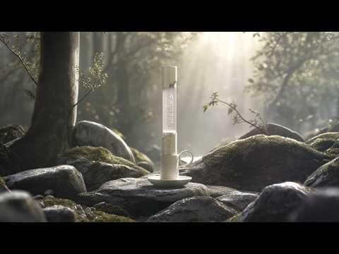 كورتيس - دعابة Lightstick الرسمية