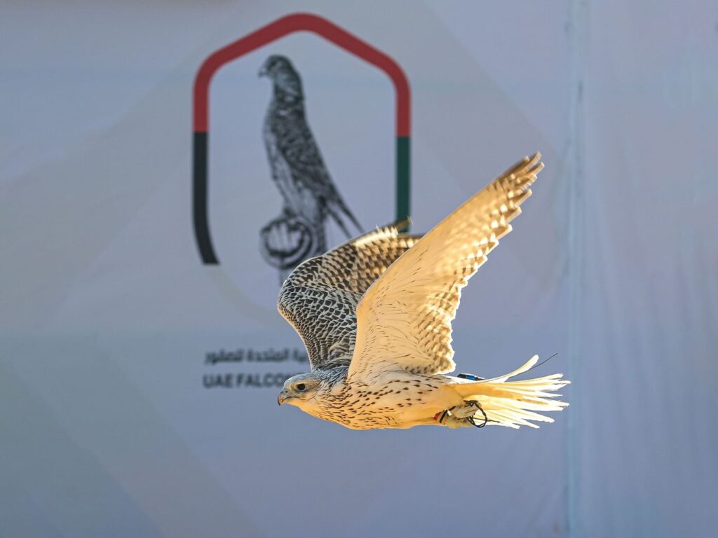 بتوجيهات منصور بن زايد ورعاية أحمد بن محمد.. البحرين تستضيف النسخة الثانية من كأس الإمارات العالمي لسباقات الصقور بتوجيهات منصور بن زايد ورعاية أحمد بن محمد.. البحرين تستضيف النسخة الثانية من كأس الإمارات العالمي لسباقات الصقور