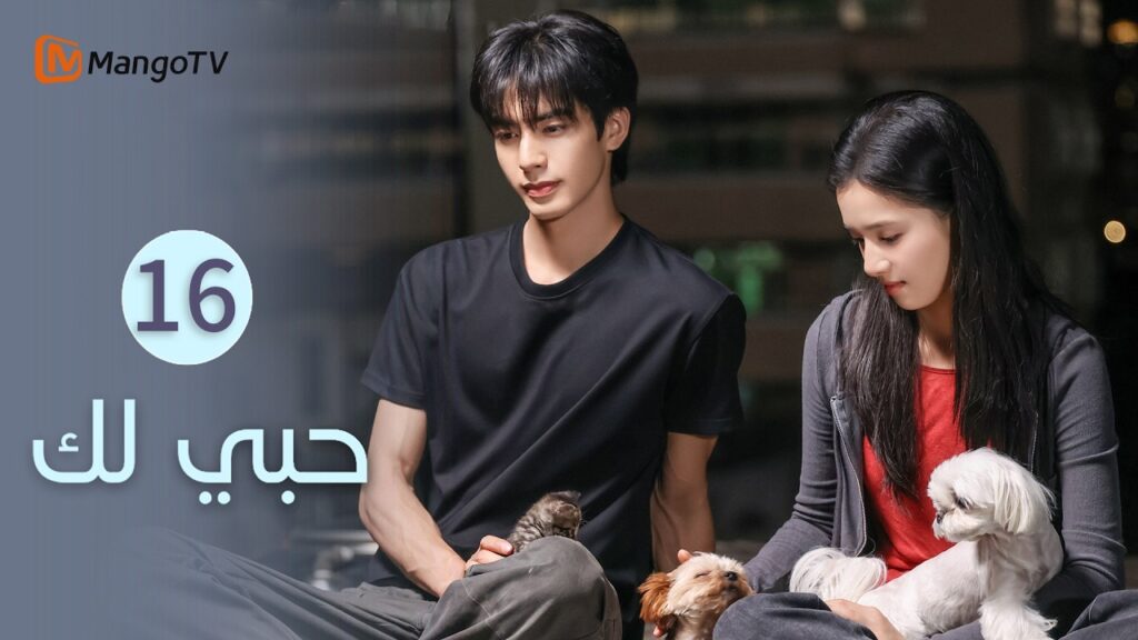 【ترجمة عربية】حبي لك | Love for You EP16 | MangoTV Arabic