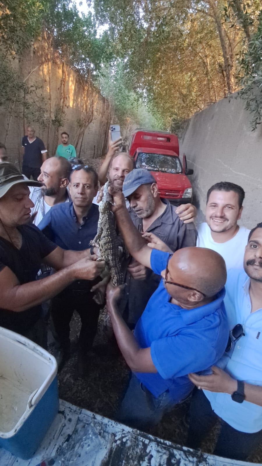 العثور على تمساح شبرامنت بالجيزة  (3)